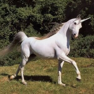 Unicorn toy