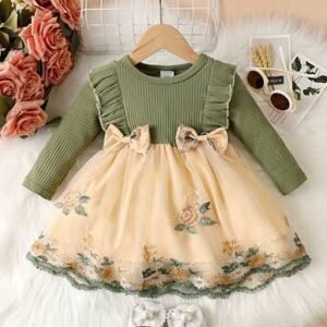 Winter Baby Dress